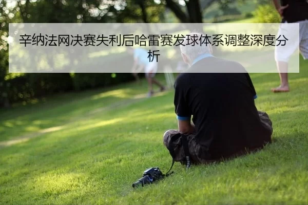 xin-na-fa-wang-jue-sai-shi-li-hou-ha-lei-sai-fa-qiu-ti-xi-tiao-zheng-shen-du-fen-xi-2-624.jpg